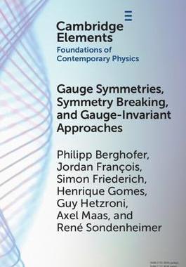 [预订]Gauge Symmetries, Symmetry Breaking, and Gauge-Invariant Approaches 9781009197229