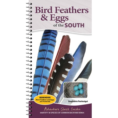 预订 Bird Feathers & Eggs of the South: Identify 40 Species of Common Backyard Birds 9781647556662