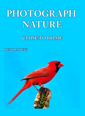 预订 Photograph Nature: Close To Home: 9780578450353