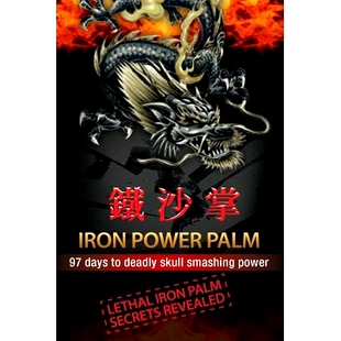 预订 Power Iron days Palm smashing 9780473182212 power skull