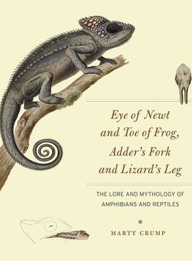 【预订】Eye of Newt and Toe of Frog, Adder’s Fork and Lizard’s Leg 9780226116006
