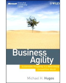 Business Agility: Sustainable Prosperity In A Relentlessly Competitive World 持久兴隆: 9780470413456