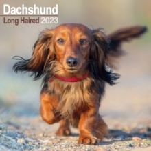【预订】Longhaired Dachshund 2023 Wall Calendar 9781839416972