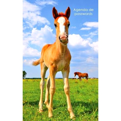 预订 Agenda de Passwords: Agenda Para Enderecos Electronicos E Passwords - Capa Potro Bonito: 9781542901796