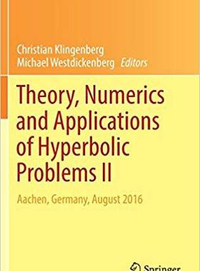 【预售】Theory, Numerics and Applications of...