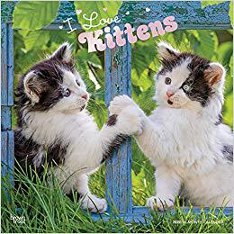 美国库房发货,通常付款后5-8周到货!