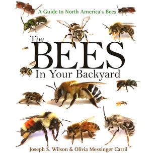Bees The North 蜜蜂：北美蜜蜂指南 Your 后院 9780691160771 Backyard America’s Guide