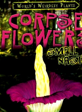 预订 Corpse Flowers Smell Nasty!: 9781482456103