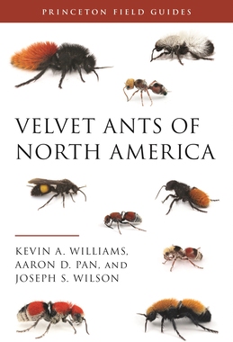 预订 Velvet Ants of North America