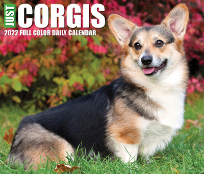 【预订】Corgis 2022 Box Calendar - Dog Breed Daily Desktop 9781549220456
