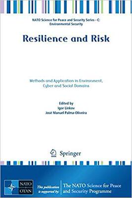 【预售】Resilience and Risk