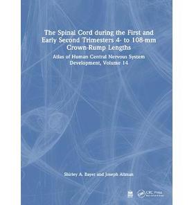 预订 The Spinal Cord during the First and Early Second Trimesters 4- to 108-mm Crown-Rump Lengths