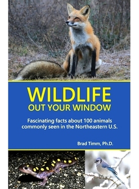 预订 Wildlife Out Your Window: Fascinating Facts About 100 Animals Commonly Seen in the Northeastern U.S. 窗外的野生动物