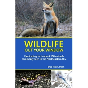 预订 100 the Animals Commonly Window Facts 野生动物 U.S. 窗外 Your Fascinating About Seen Northeastern Out Wildlife