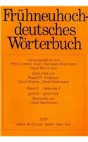 【预订】gesicht - gewonheit 9783110224221