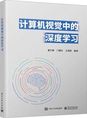 计算机视觉中的深度学习  9787121411922