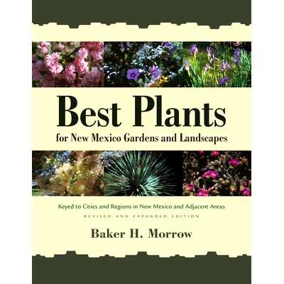 Keyed to Cities and Regions in New Mexic