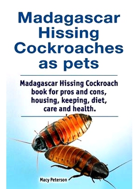 预订 Madagascar hissing cockroaches as pets. Madagascar hissing cockroach book for pros and cons, housing, keeping, diet