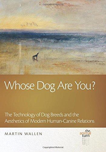 国外库房发货，通常付款后5-8周到货！