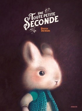 现货 法语原版绘本 短暂一秒钟 赠海报 海贝卡·朵特梅 精美长卷画册限量收藏 UNE TOUTE PETITE SECONDE Rebecca Dautremer