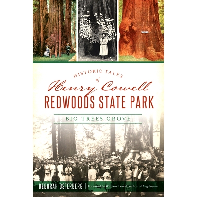 预订 Historic Tales of Henry Cowell Redwoods State Park: Big Trees Grove 亨利考威尔红杉州立公园的历史故事：大树格罗夫: 9