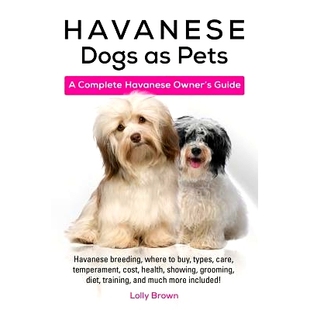 where health Havanese breeding showing cost buy grooming care Pets temperament Dogs 预订 types
