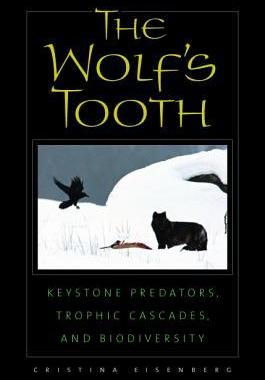 [预订]The Wolf’s Tooth: Keystone Predators, Trophic Cascades, and Biodiversity 9781597263979