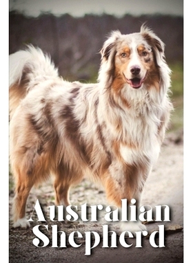 预订 Australian Shepherd: How to train your dog and raise from puppy correctly: 9798864828632