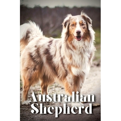 预订 Australian Shepherd: How to train your dog and raise from puppy correctly: 9798864828632