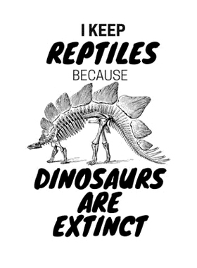 预订 I Keep Reptiles Because Dinosaurs Are Extinct: Do you have a love of reptiles that started with a fascination with
