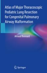 【预订】Atlas of Major Thoracoscopic Pediatric Lung Resection for Congenital 9783031079368