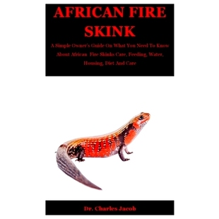 Need Skink Owner’s Simple Skinks Feeding Water Care Guide Fire 預(yù)訂 About Know You What African
