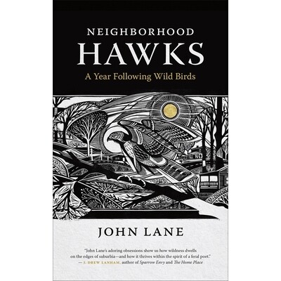 预订 Nei*orhood Hawks: A Year Following Wild Birds 与老鹰做邻居：跟随野生鸟类的一年: 9780820354934