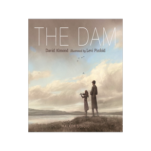 英文原版 堤坝 Levi Pinfold插画绘本 David Almond: The Dam