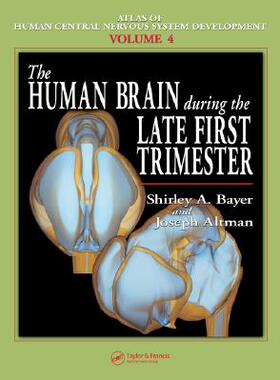 【预售】The Human Brain During the Late First Trimester