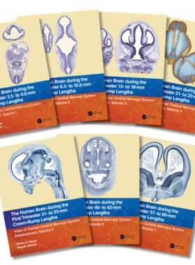 [预订]The Human Brain During the First Trimester 9781032504957