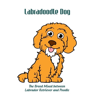 预订 Labradoodle Dog: The Breed Mixed between Labrador Retriever and Poodle: Labradoodle Mixed Dog Breed Pictures, Chara