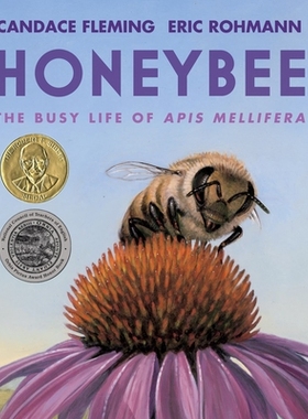 预订 Honeybee: The Busy Life of APIs Mellifera: 9780823451166