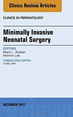 【预订】Minimally Invasive Neonatal Surgery, An Issue of Clinics in Perinatology