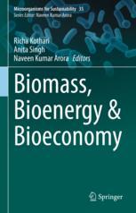 【预订】Biomass, Bioenergy & Bioeconomy 9789811929113