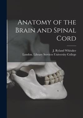 [预订]Anatomy of the Brain and Spinal Cord [electronic Resource] 9781014268778