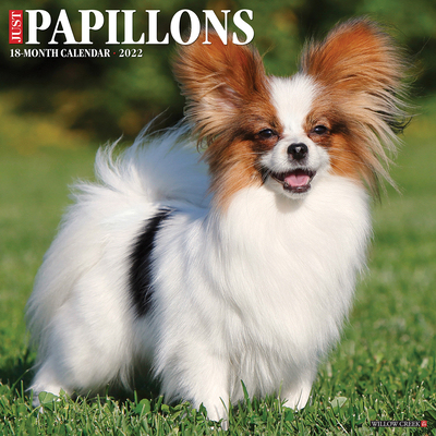 【预订】Just Papillons 2022 Wall Calendar (Dog Breed) 9781549219160