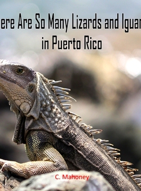 预订 There Are So Many Lizards and Iguanas in Puerto Rico: 9798447763671