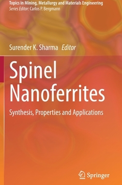 【预订】Spinel Nanoferrites 9783030799595