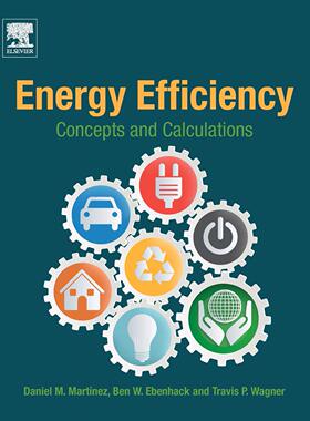 预售 英文原版 能量效率 Energy Efficiency: Concepts and Calculations (Elsevier Science)