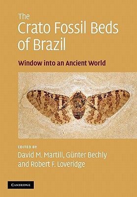 【预订】The Crato Fossil Beds of Brazil