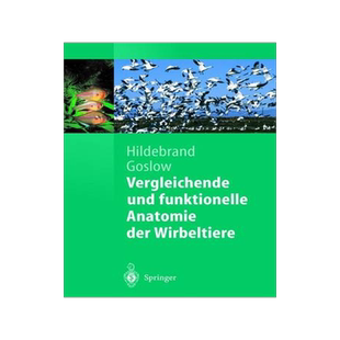 预订 Vergleichende und funktionelle Anatomie der Wirbeltiere