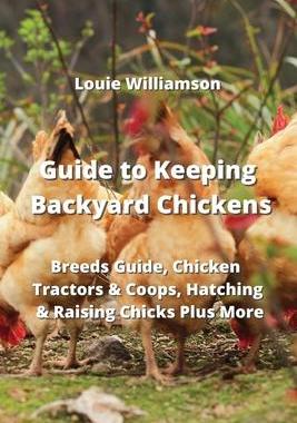 [预订]Guide to Keeping Backyard Chickens: Breeds Guide, Chicken Tractors & Coops, Hatching & Raising Chick 9789850010797