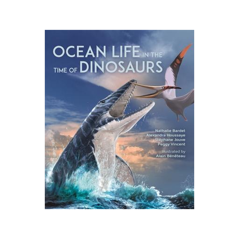 恐龙时代的海洋生物英文原版