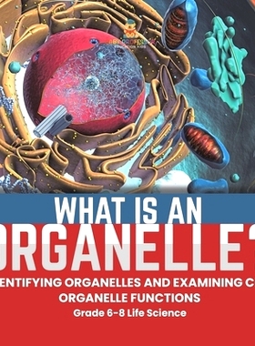 预订 What is an Organelle? Identifying Organelles and Examining Cell Organelle Functions Grade 6-8 Life Science: 9781541